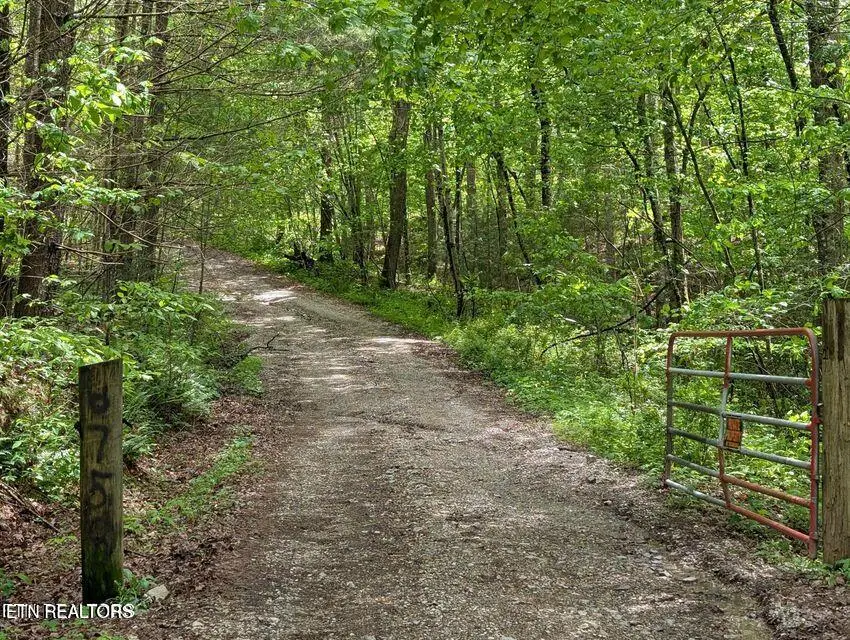 158 Jess Ridge Rd, Lancing, TN 37770 - #3