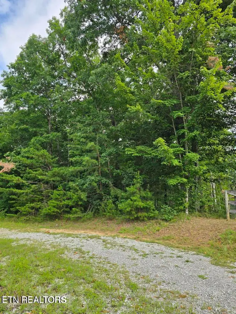 lot 244 Walking Horse Drive, Jamestown, TN 38556 - #2