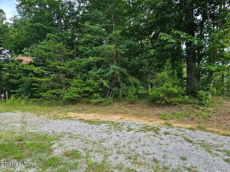 lot 244 Walking Horse Drive, Jamestown, TN 38556 - #3