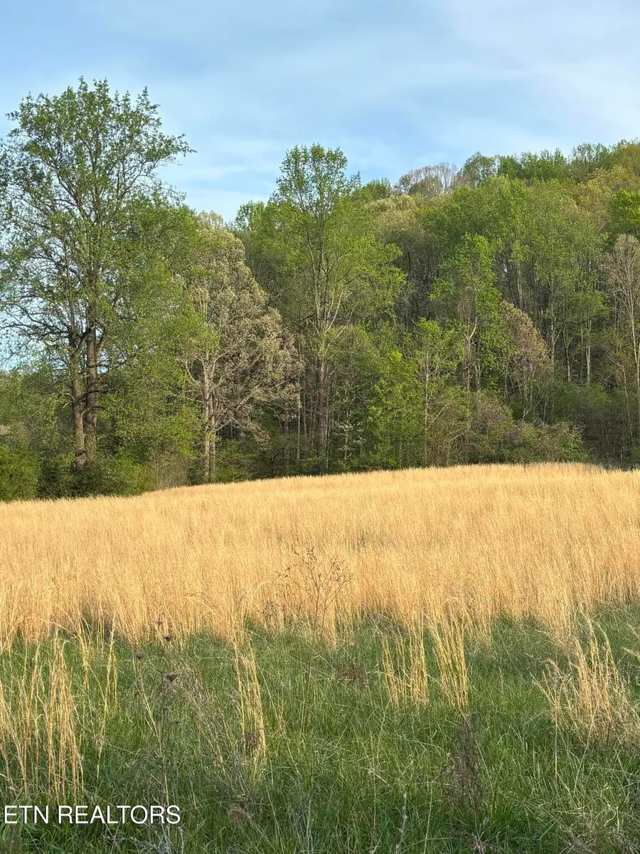 0 Rhea Rd, Knoxville, TN 37920 - #3