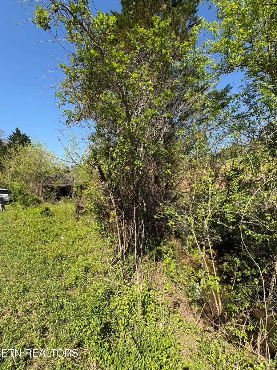 3755 Richardson Cove Rd, Sevierville, TN 37876 - #3