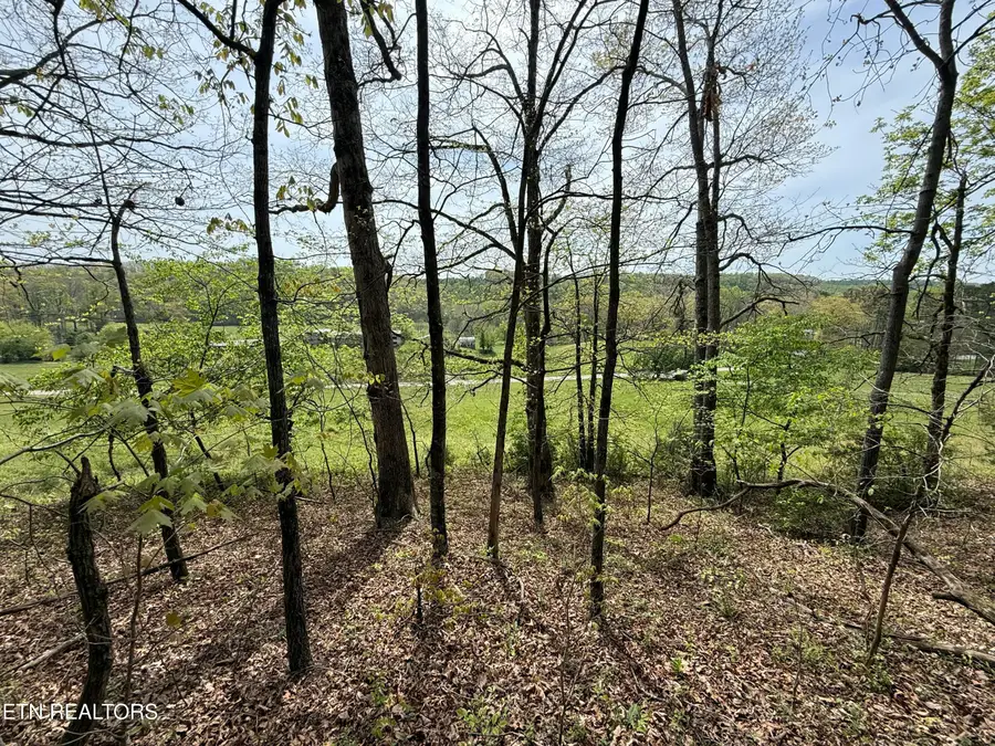 Lot 4 Yarnell Rd, Knoxville, TN 37932 - #3