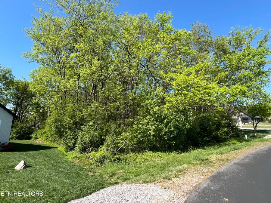 170 Utsesti Way, Loudon, TN 37774 - #2