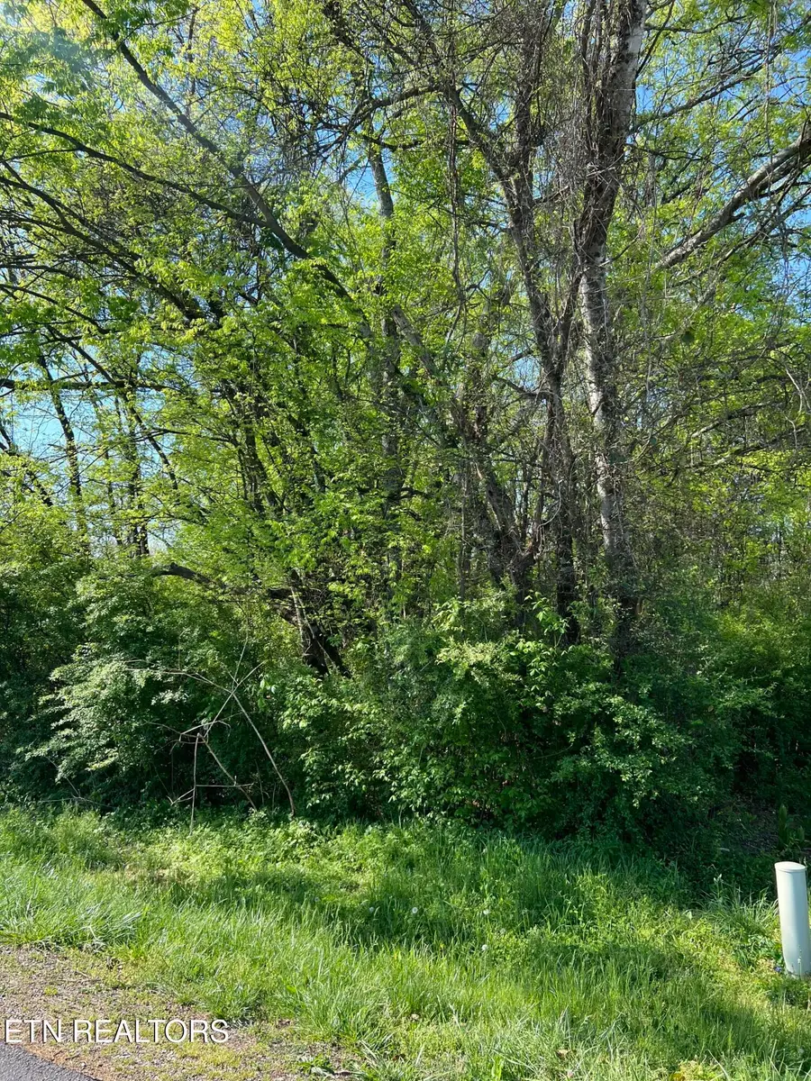 170 Utsesti Way, Loudon, TN 37774 - #3