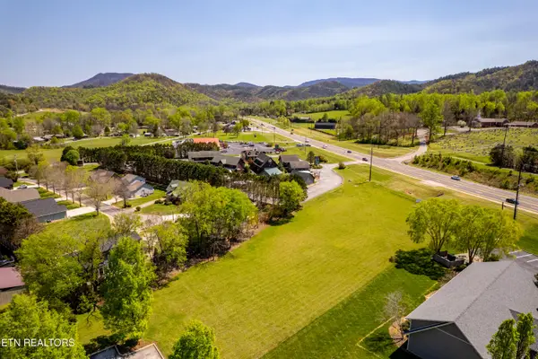 8017 E Lamar Alex Pkwy, Townsend, TN 37882