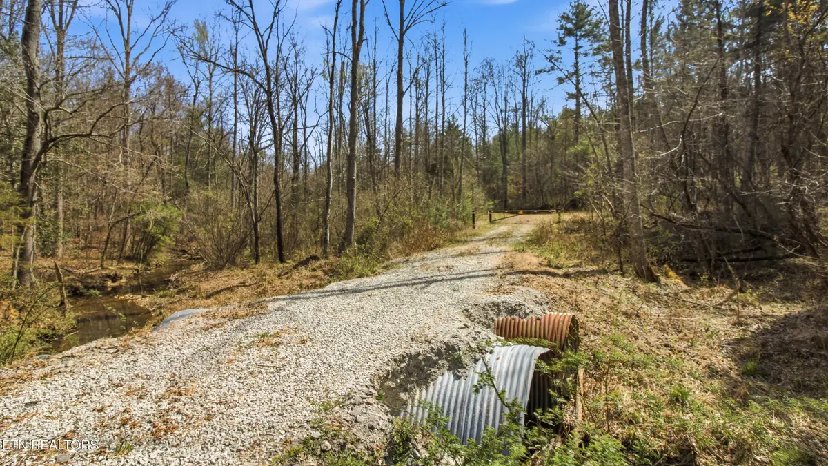 206 Dan Young Rd, Robbins, TN 37852 - #1