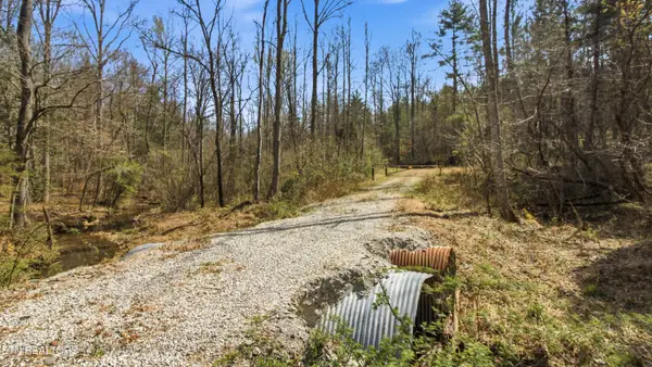 206 Dan Young Rd, Robbins, TN 37852