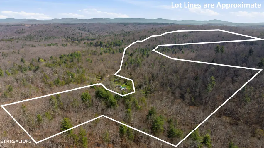206 Dan Young Rd, Robbins, TN 37852 - #2