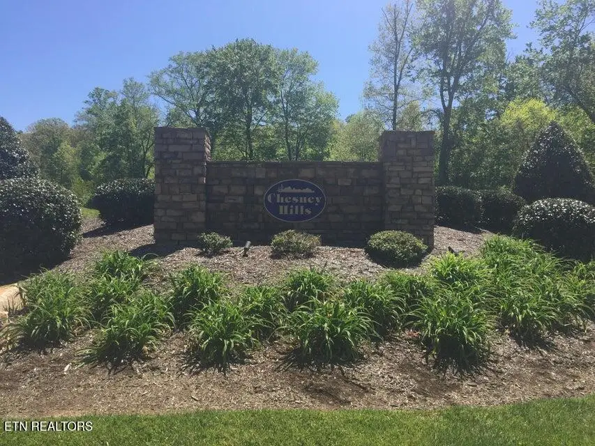 9836 Chesney Hills Lane, Knoxville, TN 37931 - #3