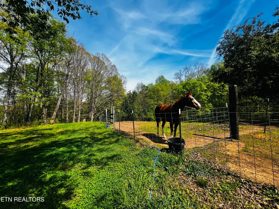 544 Backstretch Blvd, Friendsville, TN 37737 - #2