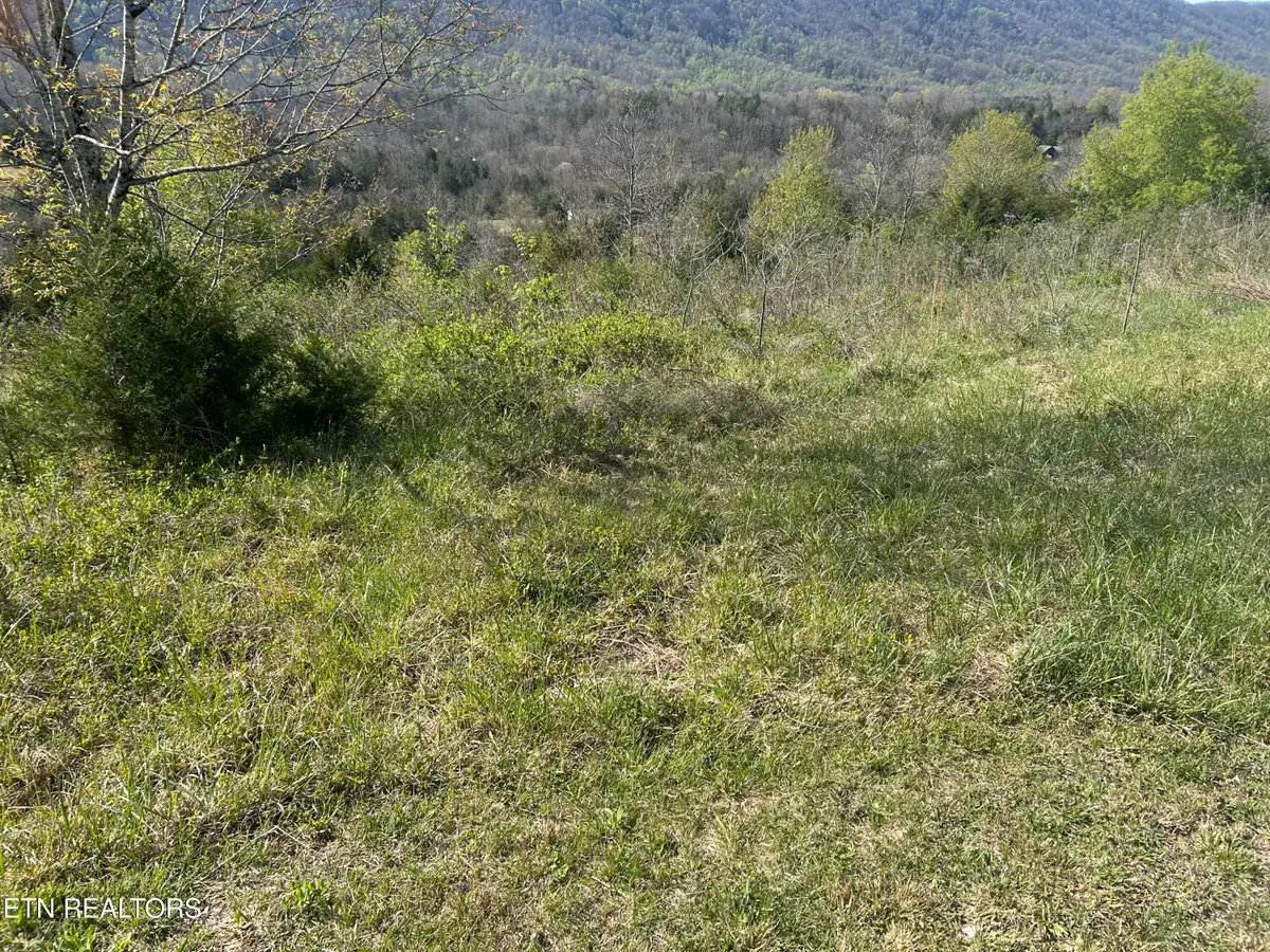 0 Rackum Rd, Thorn Hill, TN 37881 - #1