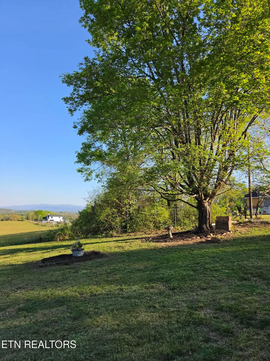 601 Eugene Disney Lane, Greenback, TN 37742 - #3