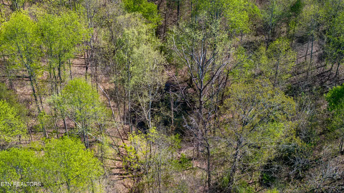 00 Dodson Branch Hwy, Cookeville, TN 38501 - #1