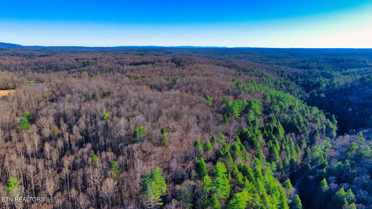 Tract 3 Ervin Brown Rd #Tract 3, Sunbright, TN 37872 - #1