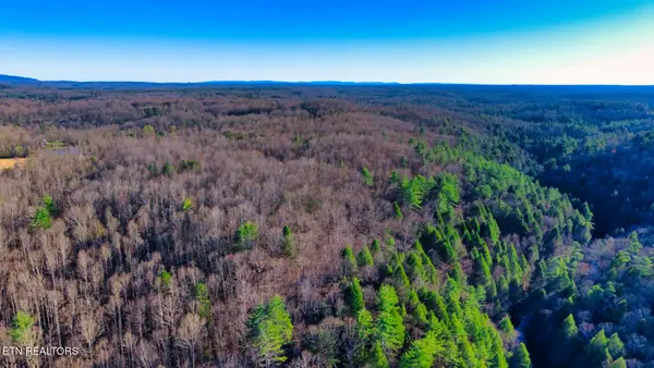 Tract 3 Ervin Brown Rd #Tract 3, Sunbright, TN 37872