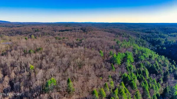 Tract 5 Ervin Brown Rd #Tract 5, Sunbright, TN 37872