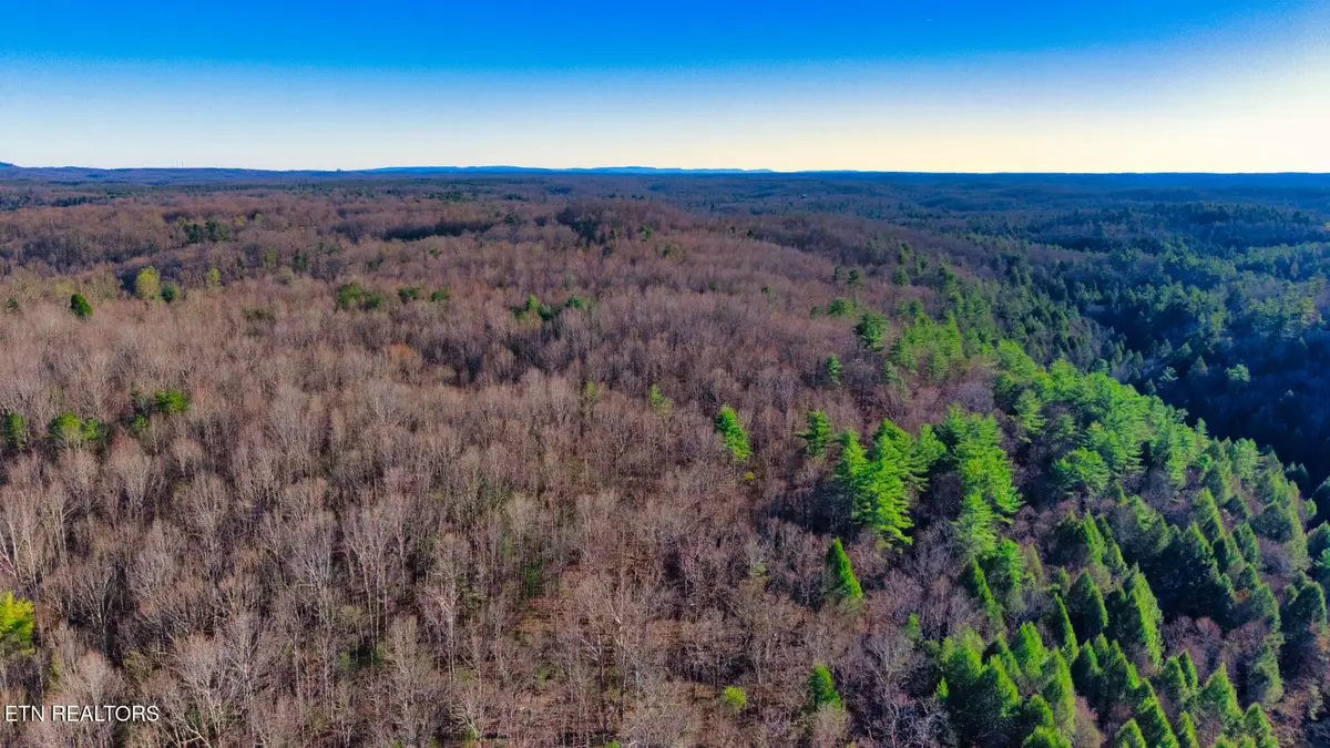 Tract 6 Ervin Brown Rd #Tract 6, Sunbright, TN 37872 - #1