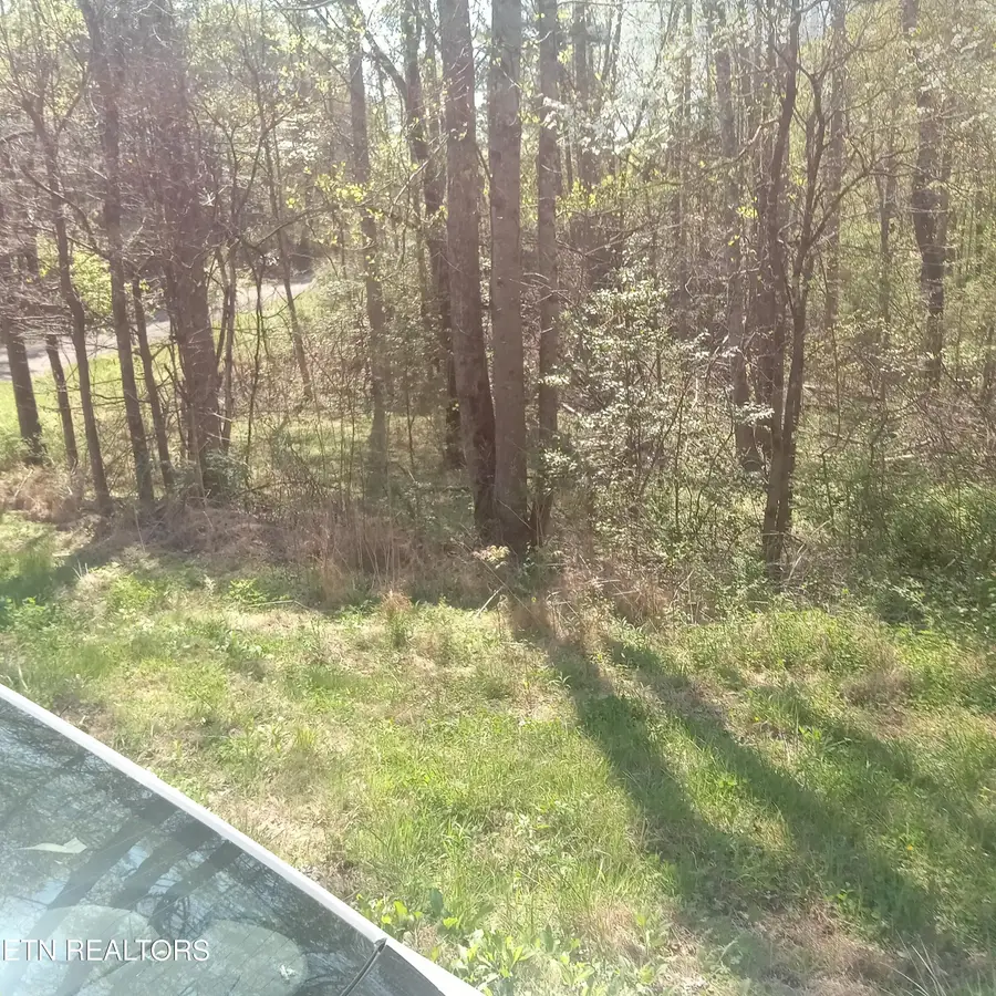 Mountain Rd, Tellico Plains, TN 37385 - #2