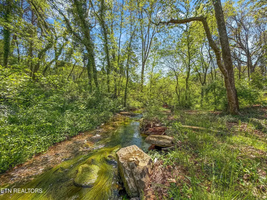 8904 Ormand Lane, Knoxville, TN 37923 - #3