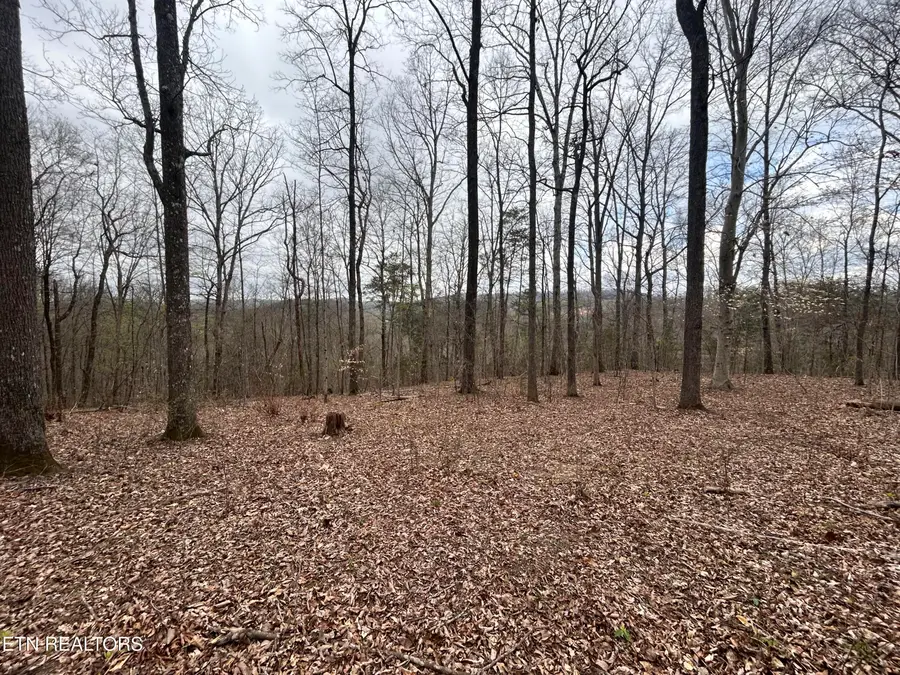 10 Acres Possum Valley Rd, Maynardville, TN 37807 - #3