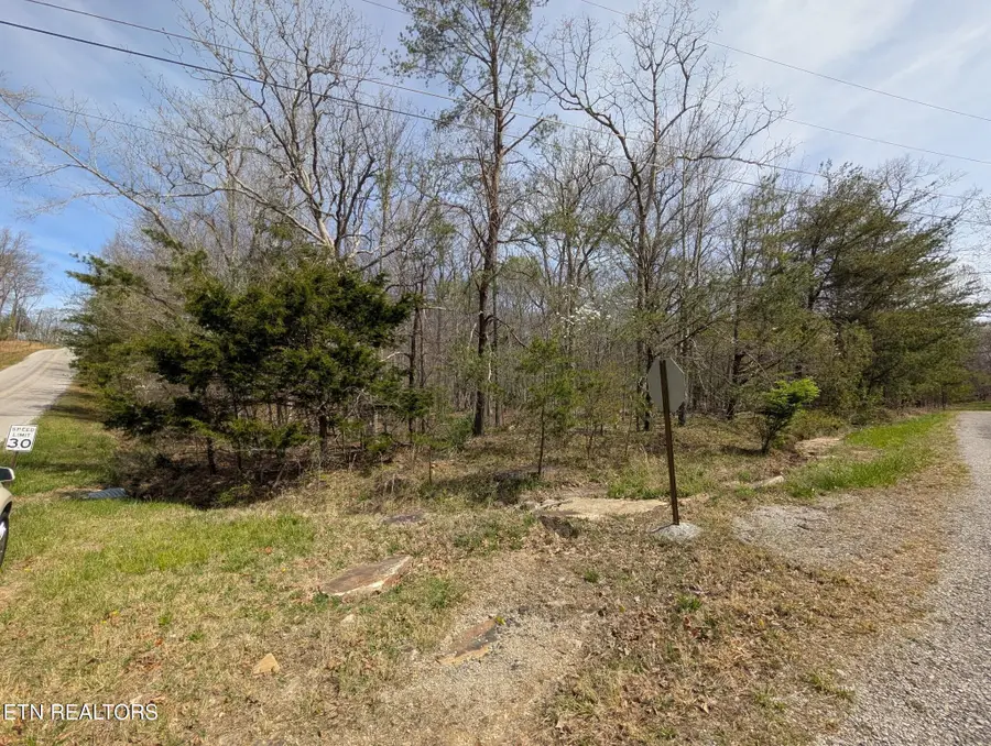 119 Kings Down Drive, Crossville, TN 38558 - #3