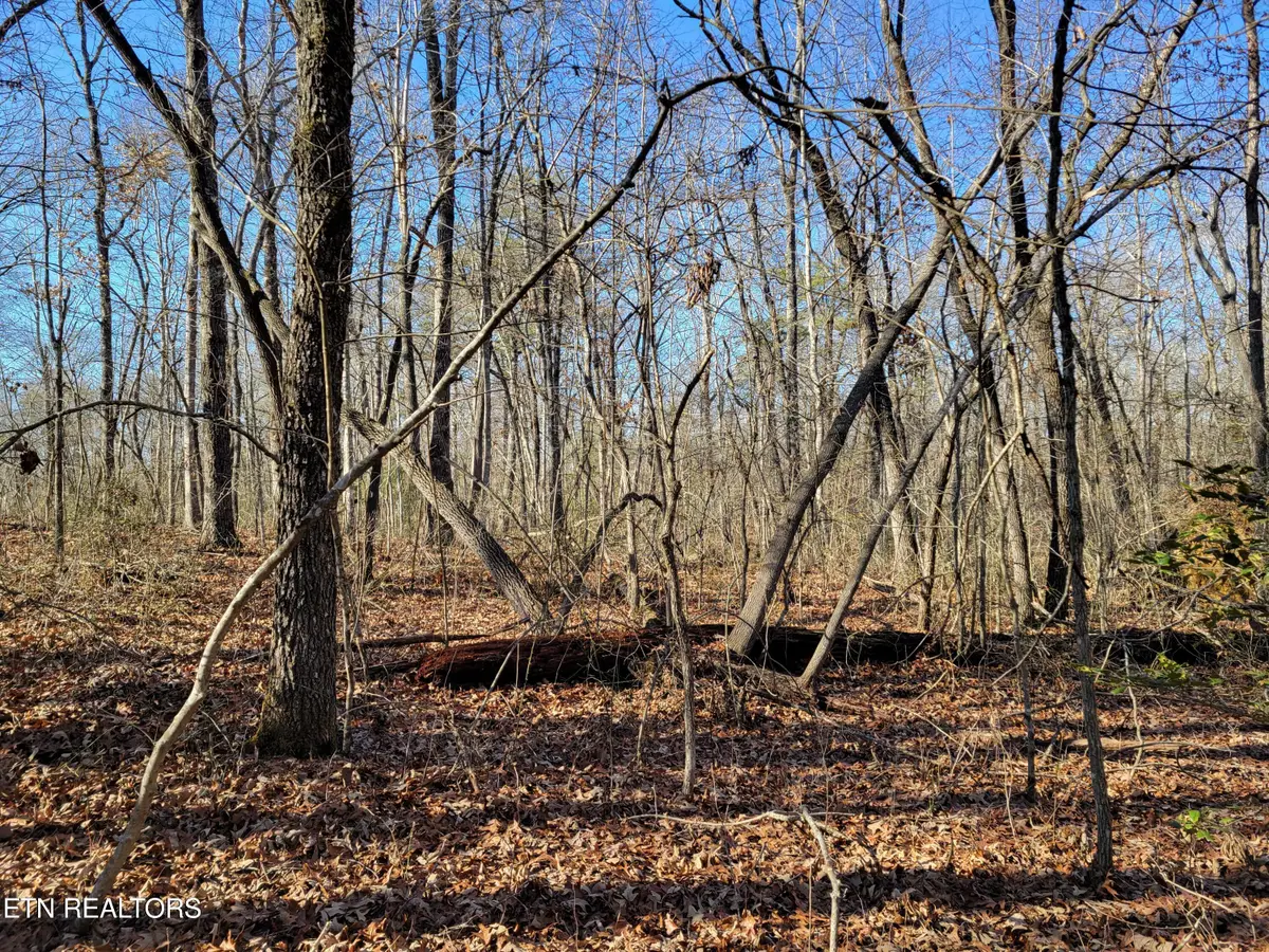 11 Rhonda Rd, Monterey, TN 38574 - #1