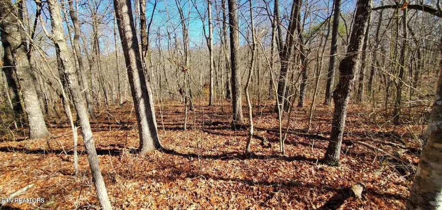 11 Rhonda Rd, Monterey, TN 38574 - #2