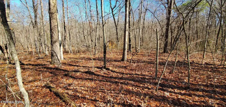 11 Rhonda Rd, Monterey, TN 38574 - #3