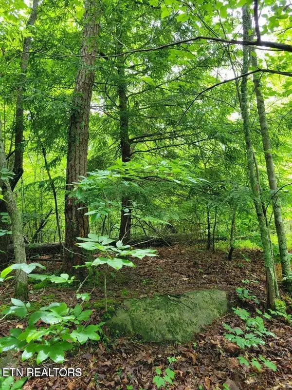 Blk 203 L5 Cumberland Lakes Drive, Monterey, TN 38574