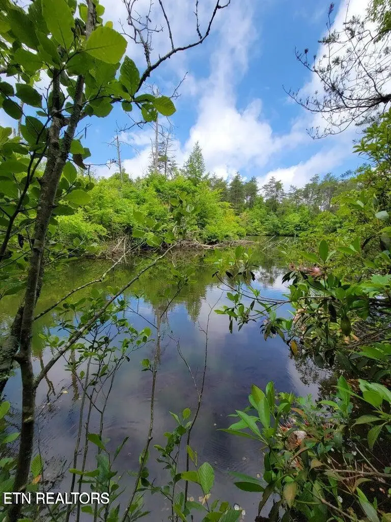 Blk 203 L5 Cumberland Lakes Drive, Monterey, TN 38574 - #2