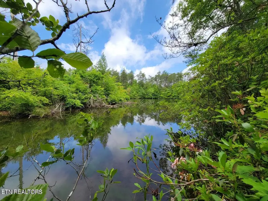 Blk 203 L5 Cumberland Lakes Drive, Monterey, TN 38574 - #3