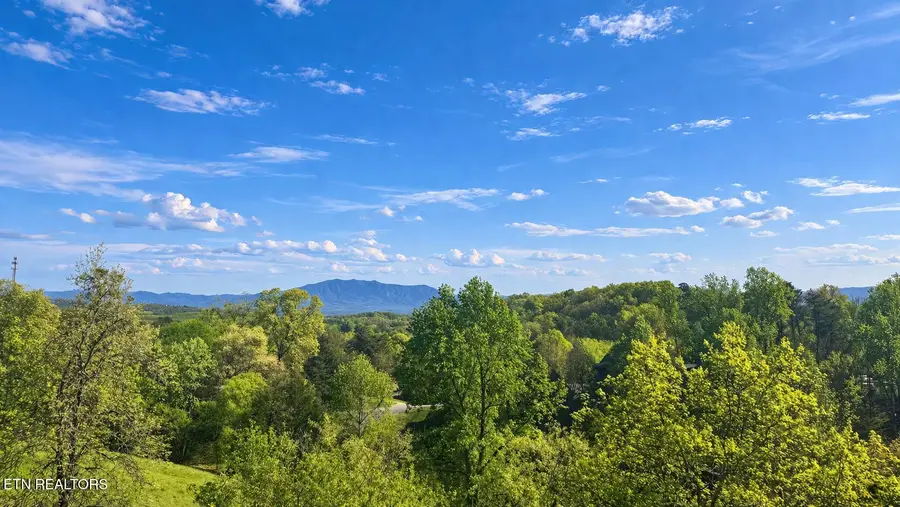 1636 Jed Tr, Sevierville, TN 37862 - #2