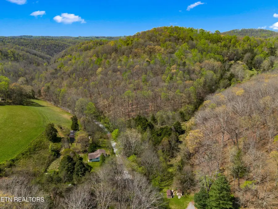 Greever Hollow Rd, Tazewell, TN 37879 - #3