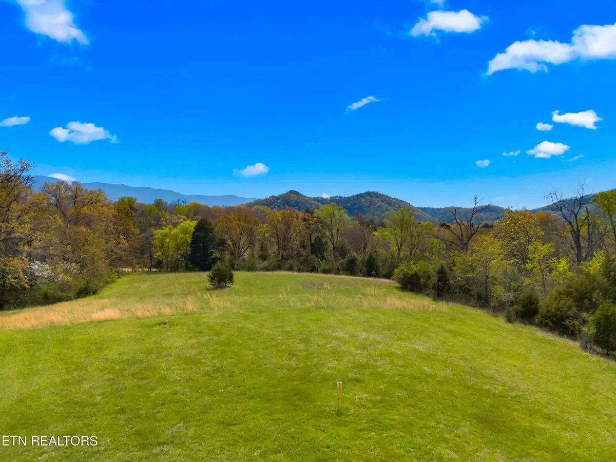 Bogard Rd, Newport, TN 37821 - #1