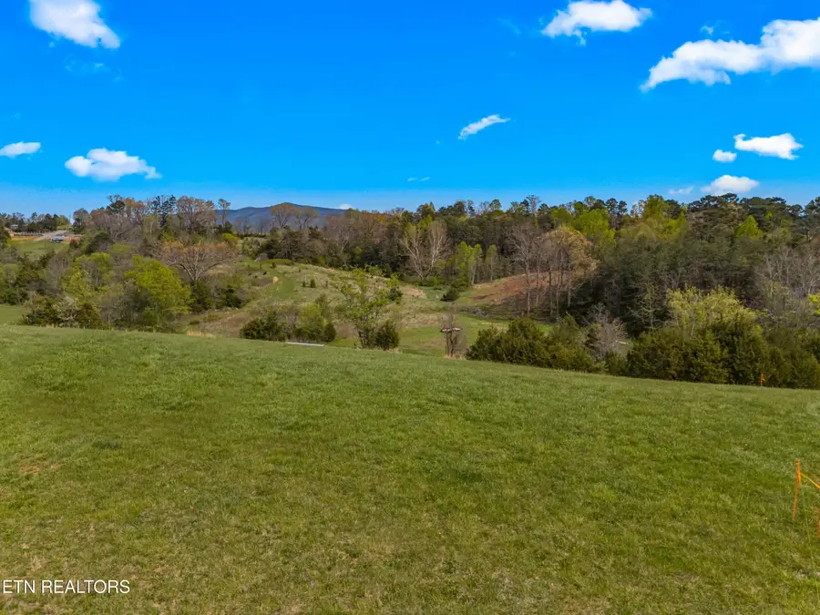 Bogard Rd, Newport, TN 37821 - #3