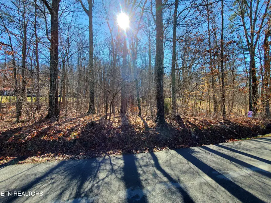 0 Lester Jarnigan Rd, Rutledge, TN 37861 - #2