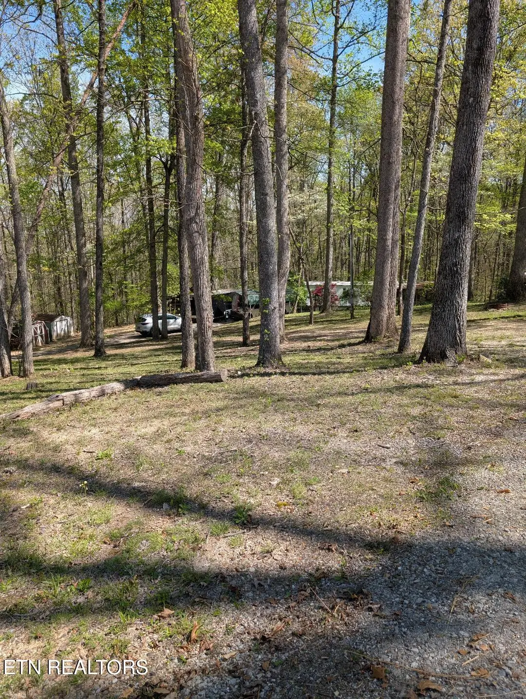 309 Old Jacksboro Pike, Heiskell, TN 37754 - #1