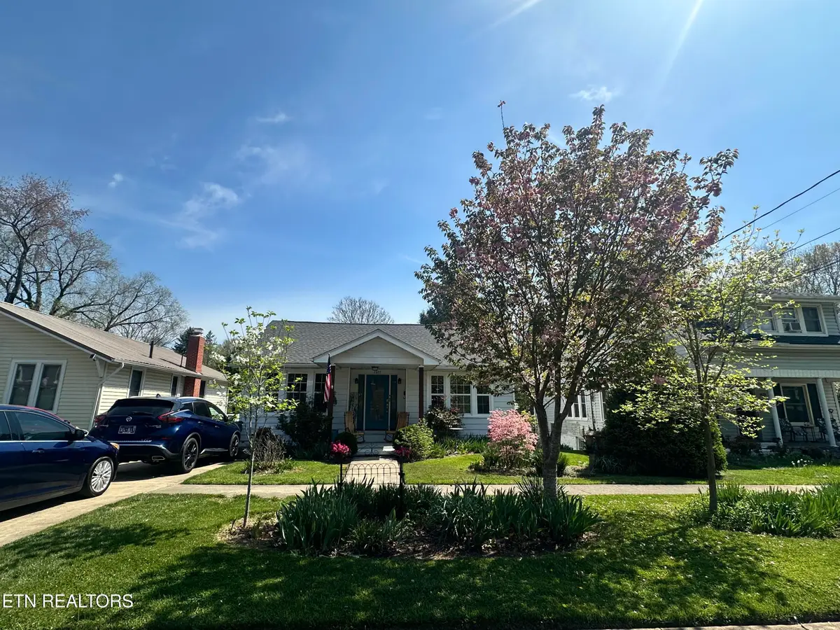 1011 Georgia Ave, Bristol, TN 37620 - #1