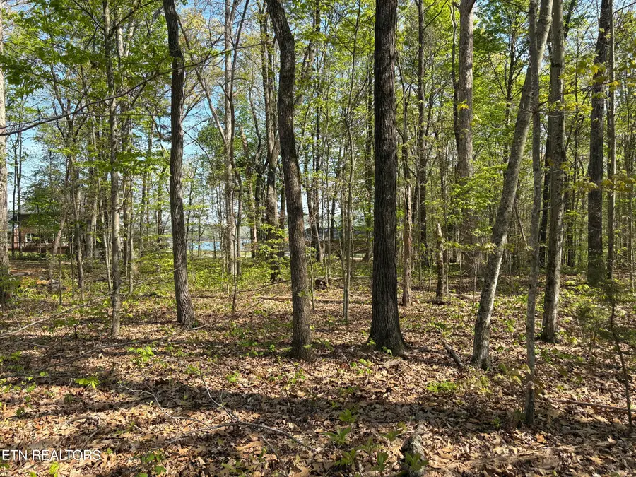 Grainger Landing #Lot 59, Rutledge, TN 37861 - #2