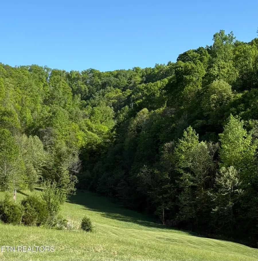 lot 485 Russell Brothers Rd, Sharps Chapel, TN 37866 - #2
