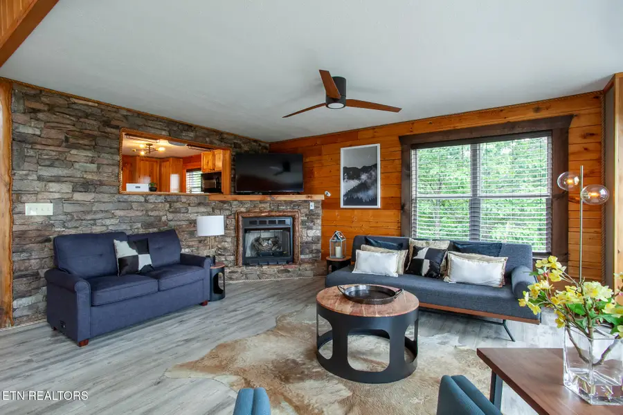 920 Falcon View Way, Sevierville, TN 37862 - #3