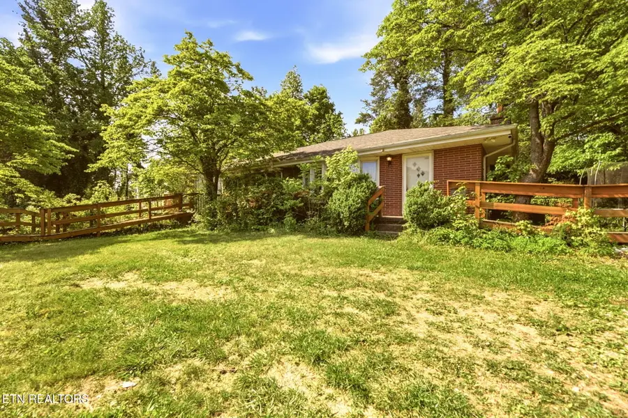 130 Sunshine Drive, Rocky Top, TN 37769 - #3