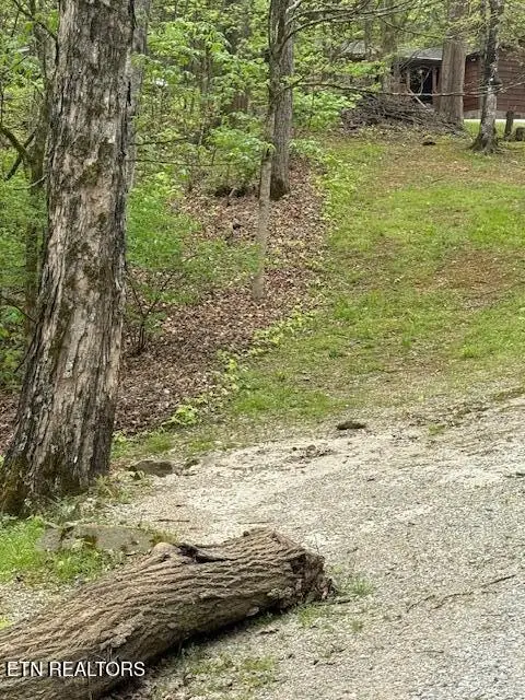 3776 Sugar Grove Valley Rd, Harriman, TN 37748 - #2