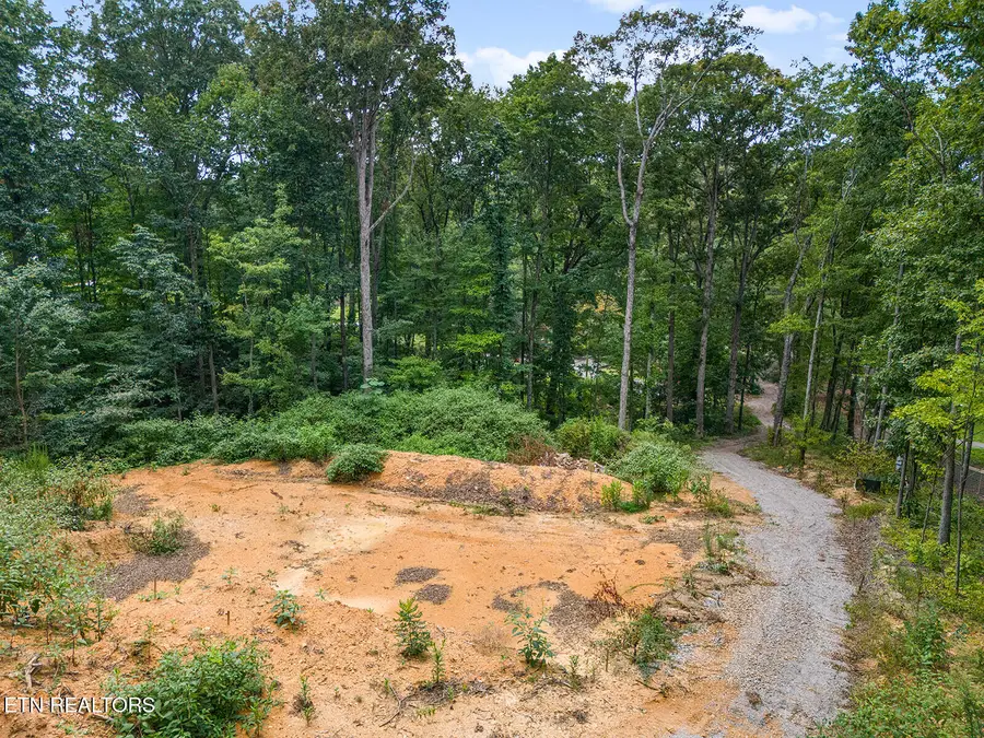 6310 Highway 11 E, Lenoir City, TN 37772 - #3