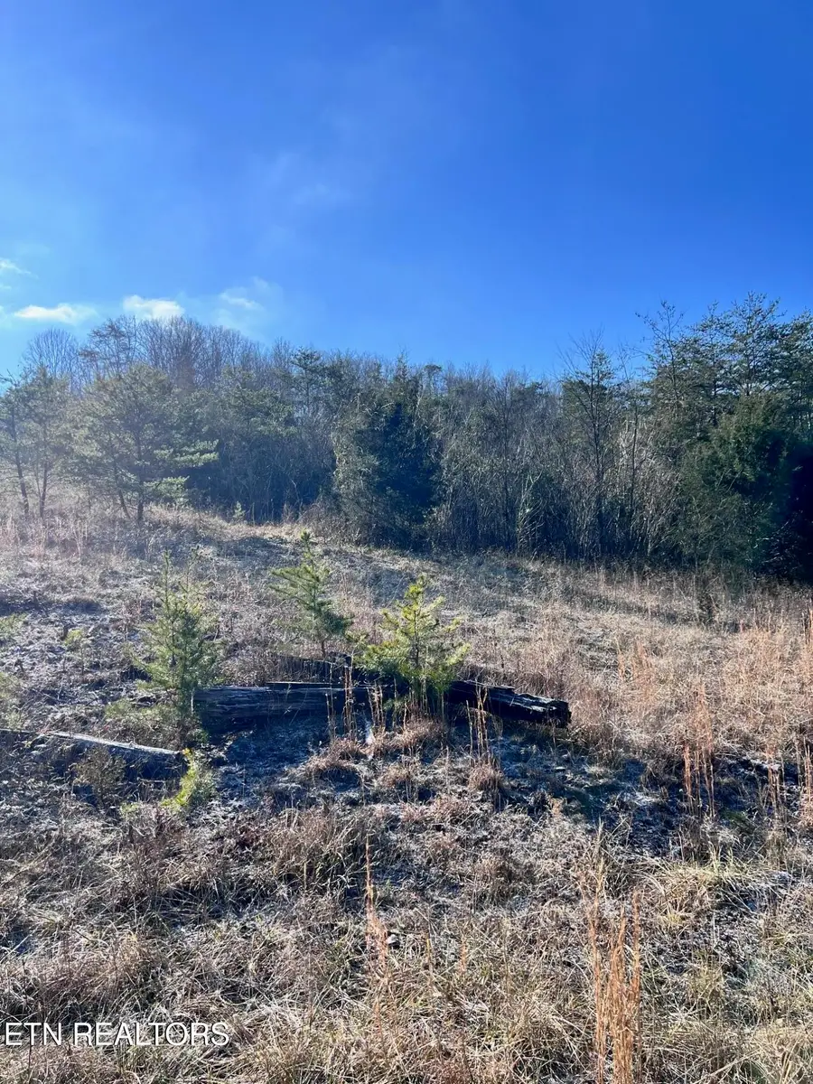 1581 Lower Caney Valley Rd, Tazewell, TN 37879 - #3