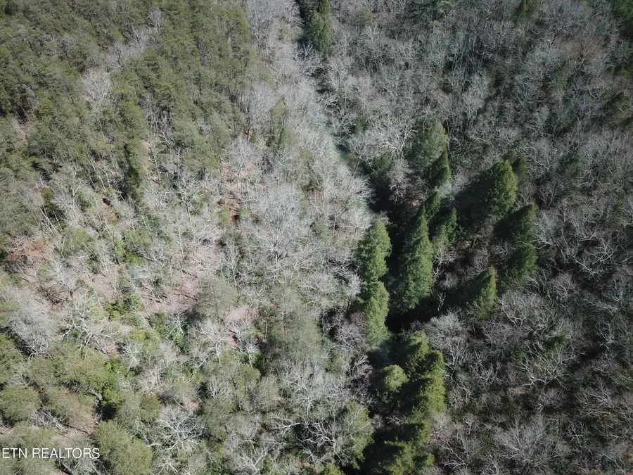 1016 West Flat Rock Rd, Crossville, TN 38572 - #3