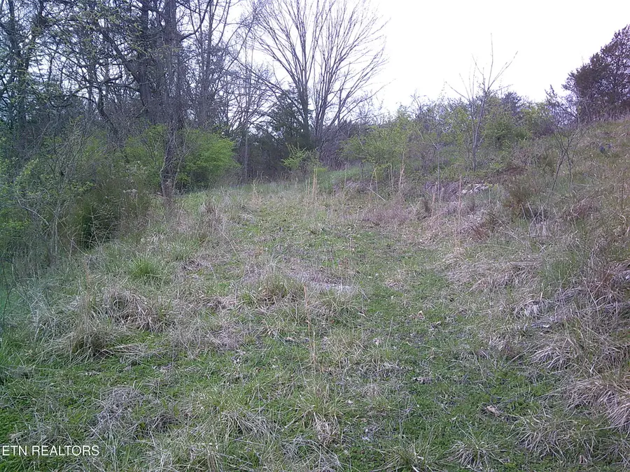 9927 Stringtown Rd, Strawberry Plains, TN 37871 - #2