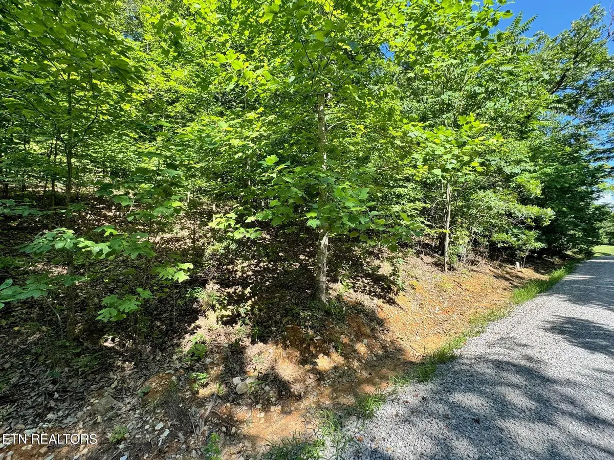 626 N Pointe Tr, Allons, TN 38541 - #1