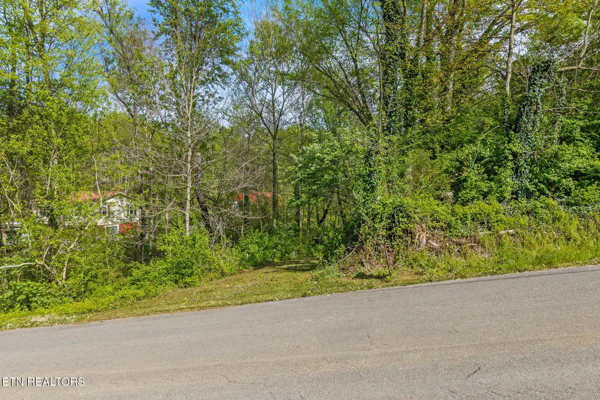 0 Kinzalow Drive, Sweetwater, TN 37874 - #1