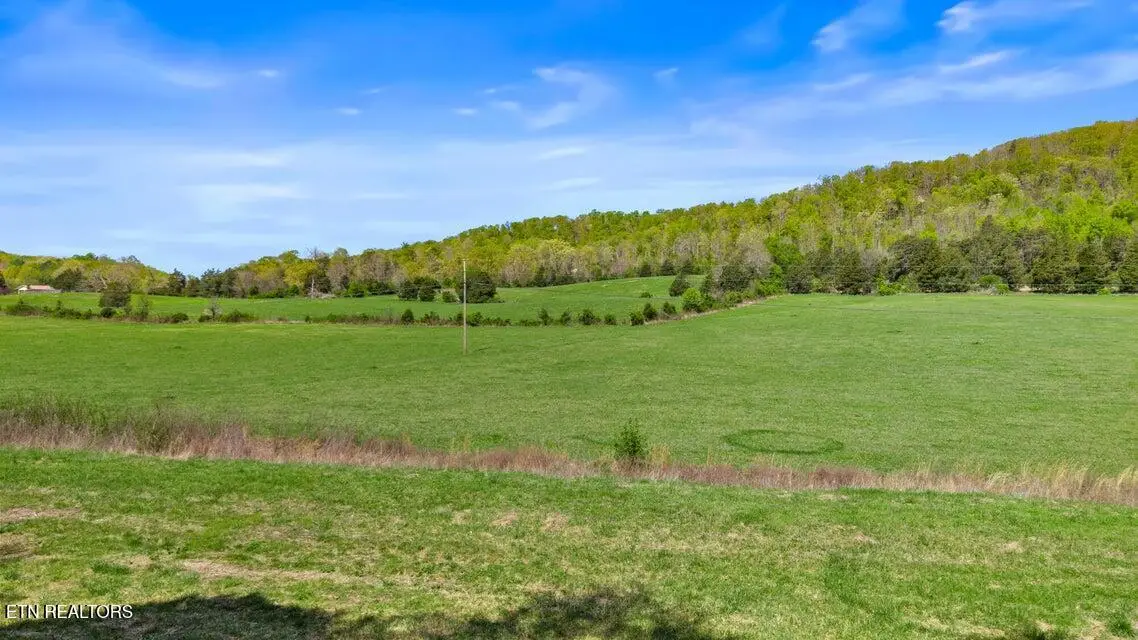 00 Dog Town Rd, Ten Mile, TN 37880 - #1